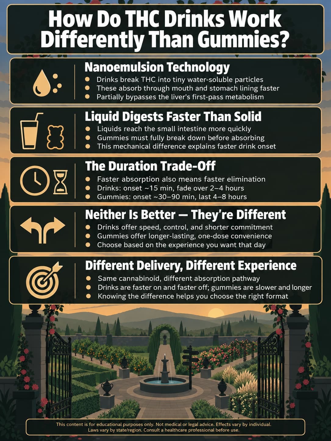 infographic for How Do THC Drinks Work Differently Than Gummies infographic for How Do THC Drinks Work Differently Than Gummies