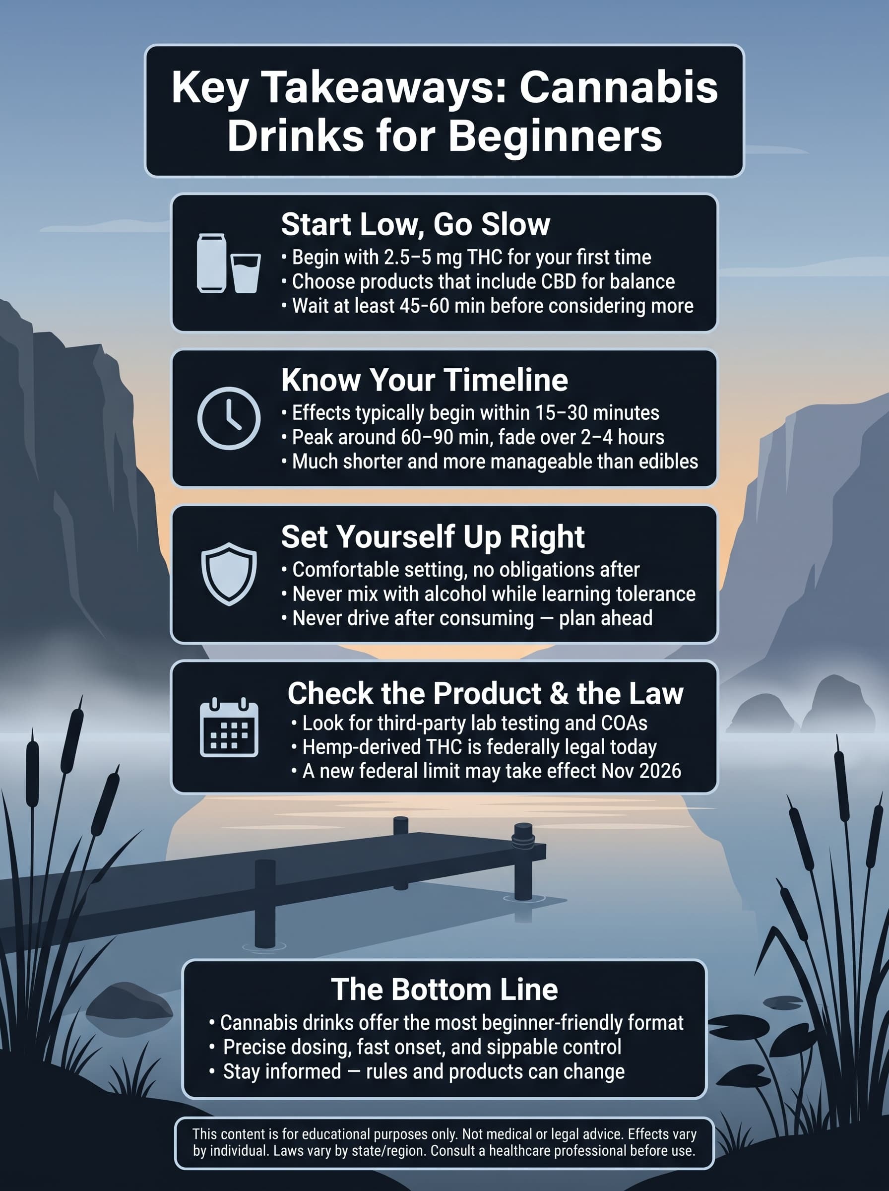 infographic for Key Takeaways Cannabis Drinks for Beginners in the  dn US