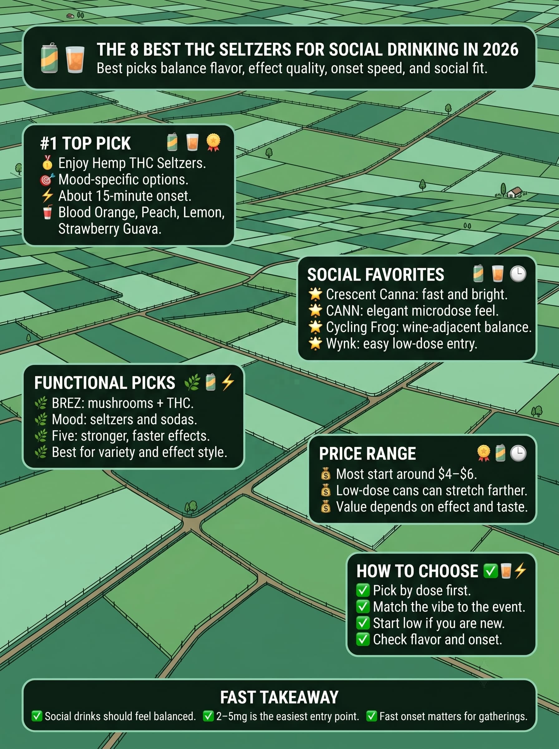 infographic for The 8 Best THC Seltzers for Social Drinking in 2026