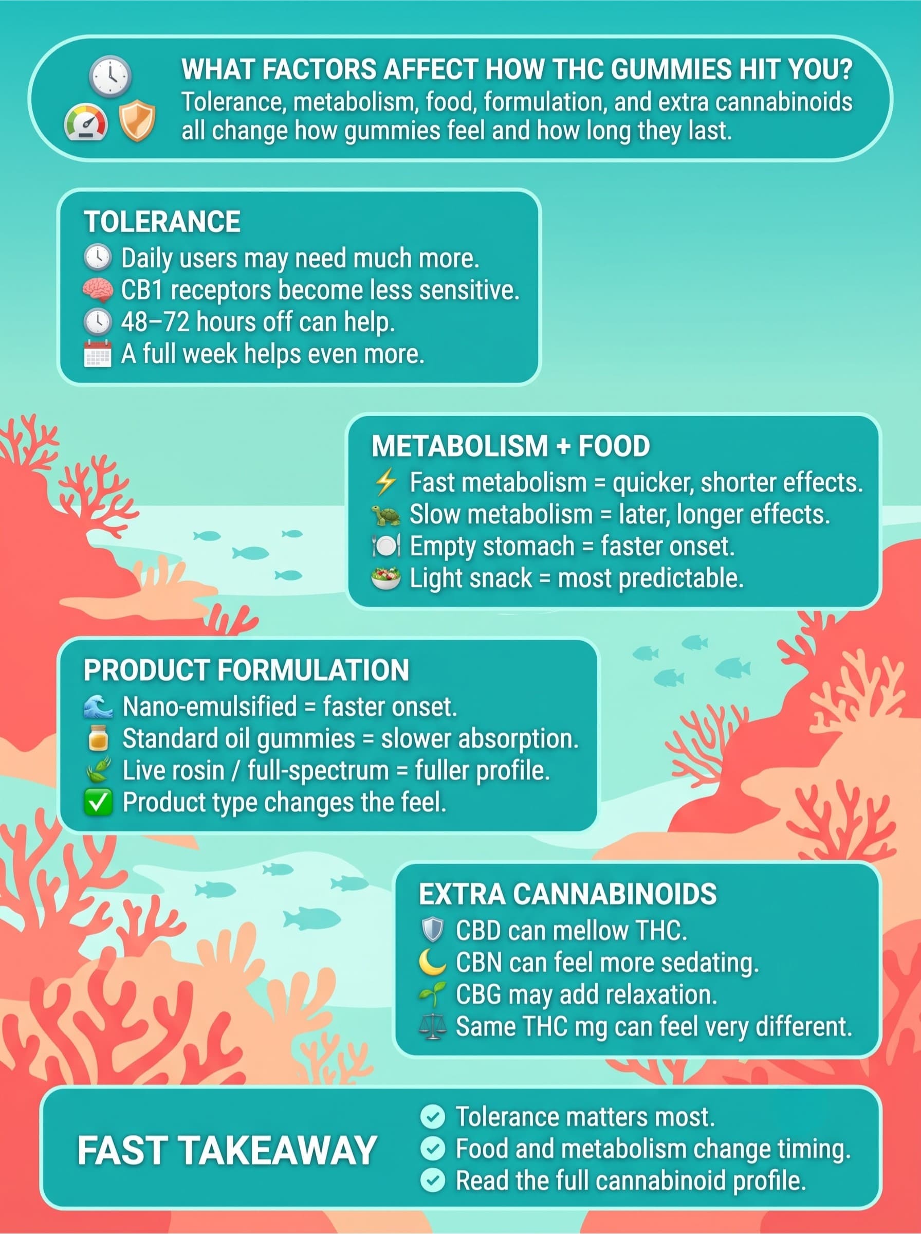 infographic for What Factors Affect How THC Gummies Hit You?