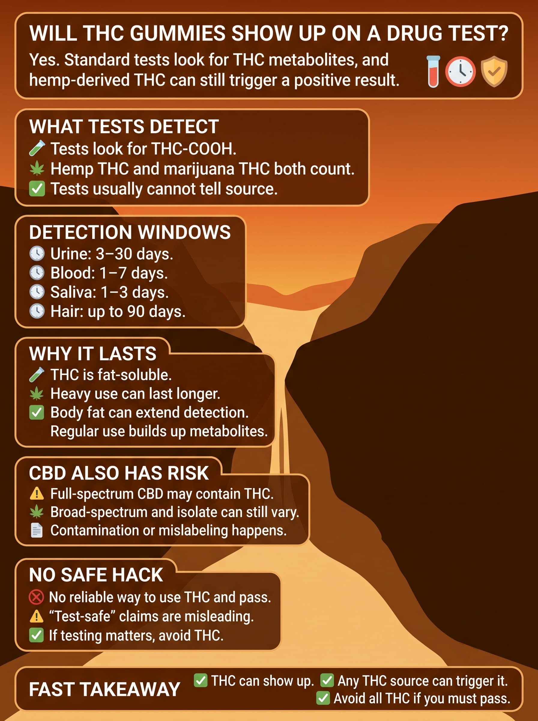 infographic for Will THC Gummies Show Up on a Drug Test?
