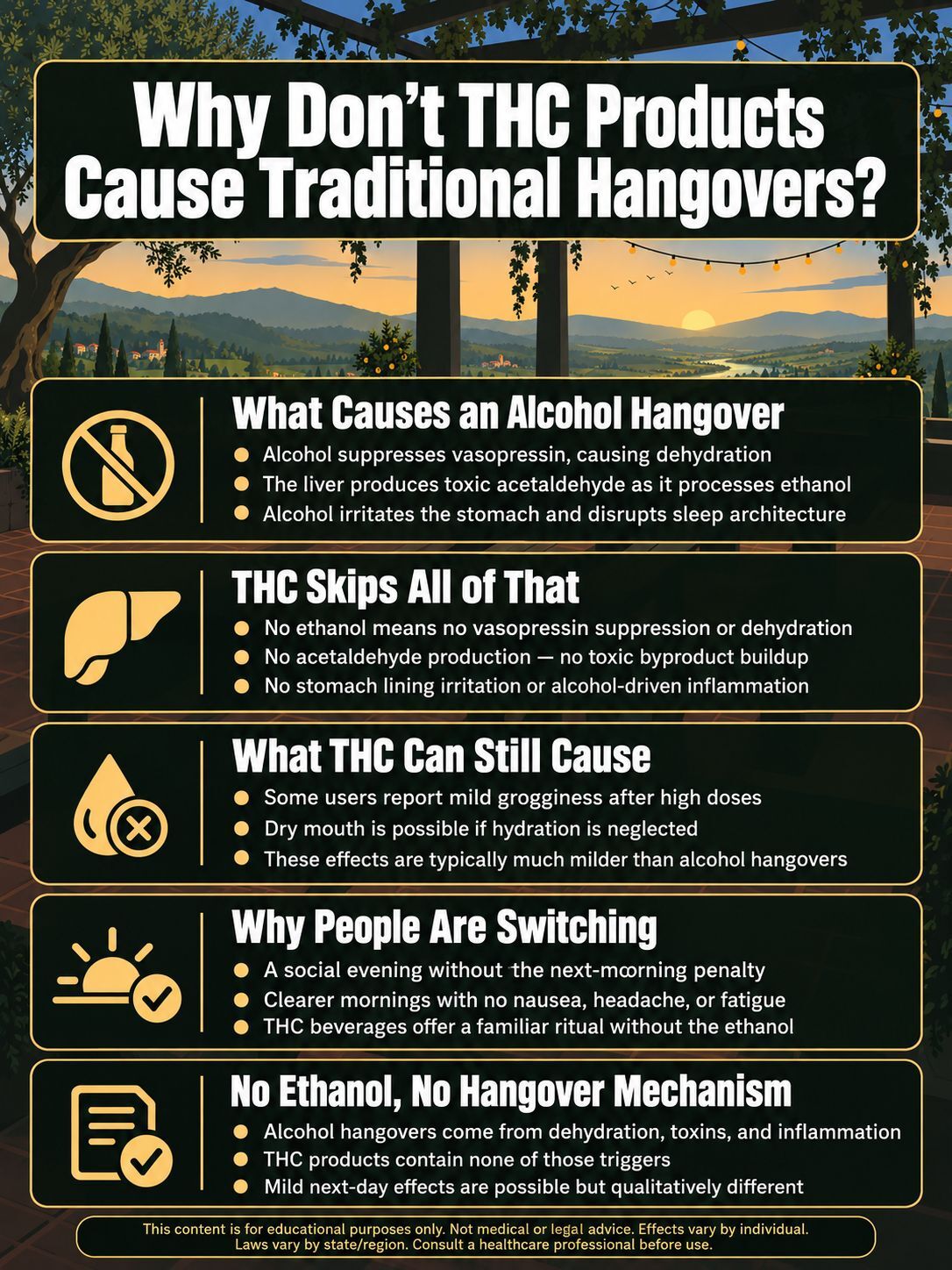 infograpic for Why Don't THC Products Cause Traditional Hangovers? infograpic for Why Don't THC Products Cause Traditional Hangovers?