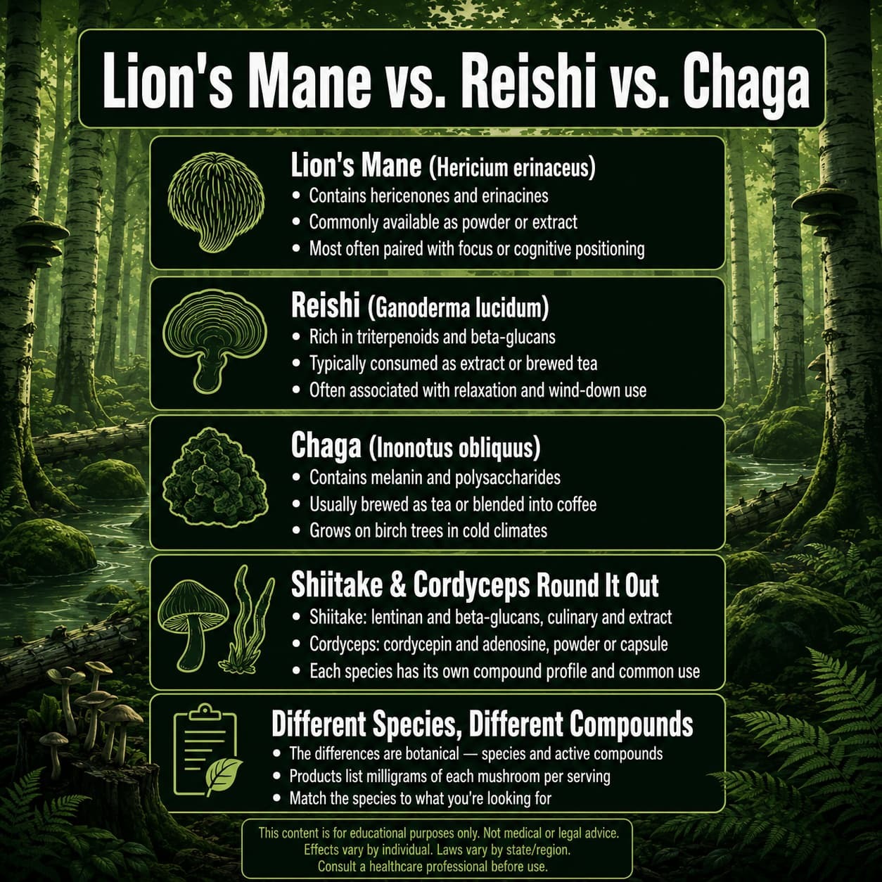 Lion's mane vs reishi vs chaga mushroom comparison by scientific name, compounds and form