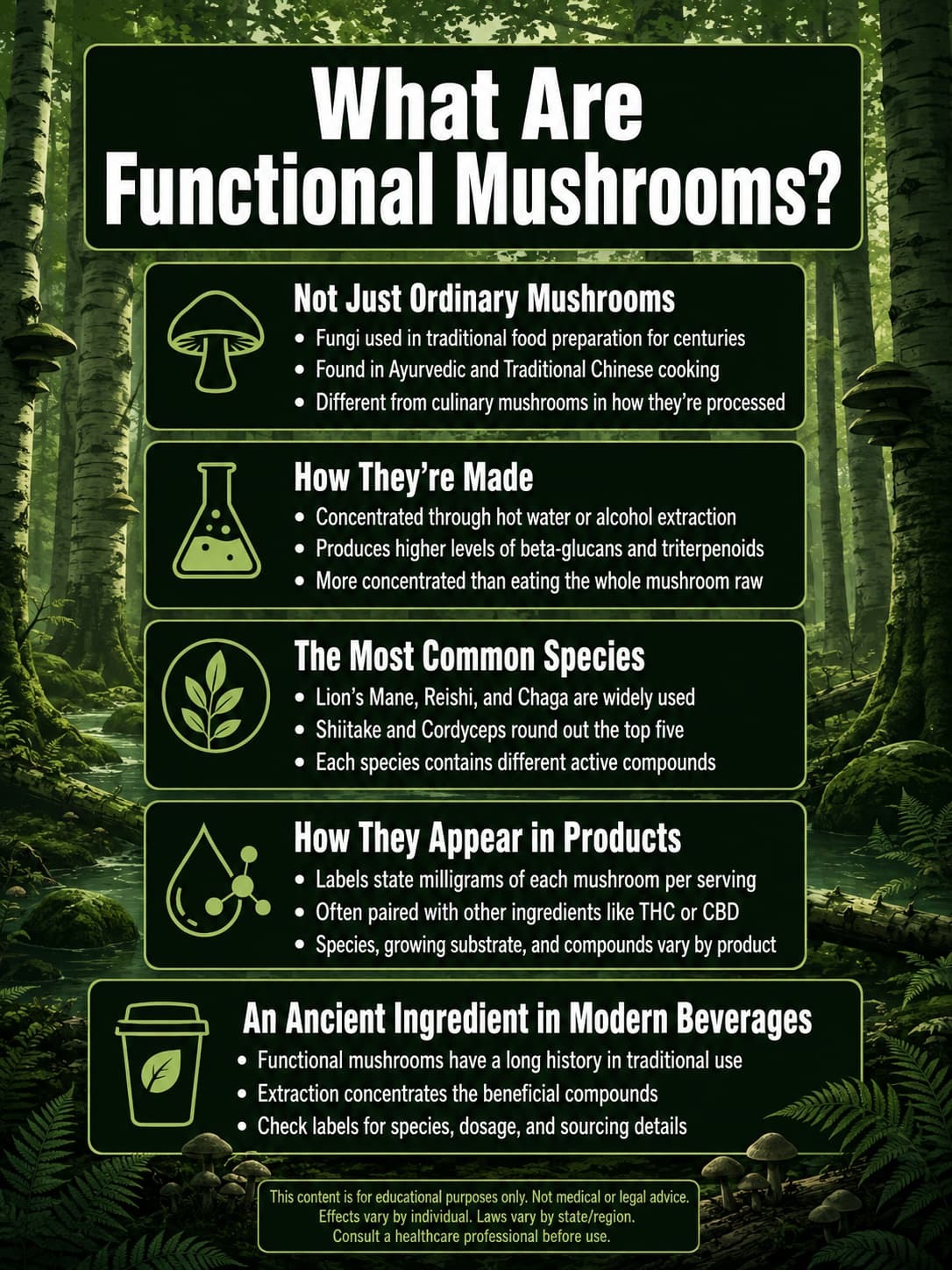 What are functional mushrooms: lion's mane, reishi, chaga, shiitake and cordyceps with their key compounds